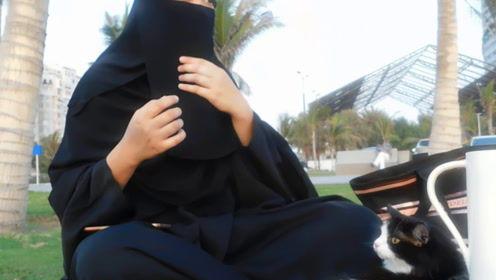 娱乐吃瓜君说七七视频,揭秘娱乐圈幕后故事,娱乐吃瓜君带你一探究竟